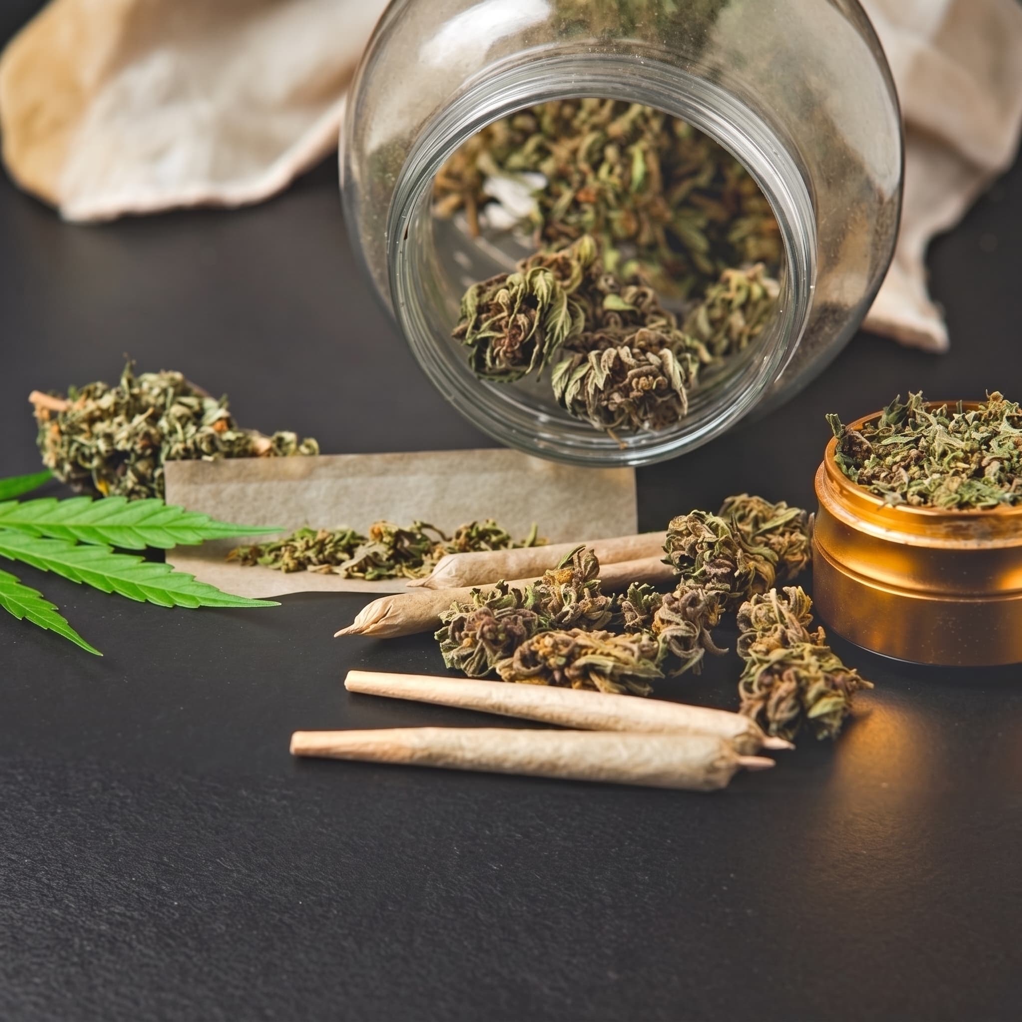 Venus joints, buds, and grinder arranged on a dark surface